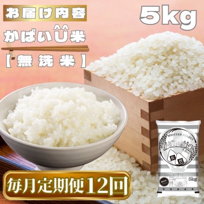 【毎月定期便】がばいU米(うまい)【無洗米】5kg(鳥栖市)全12回