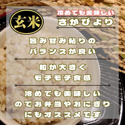【毎月定期便】【玄米】さがびより玄米5kg(鳥栖市)全3回