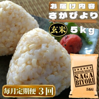 【毎月定期便】【玄米】さがびより玄米5kg(鳥栖市)全3回