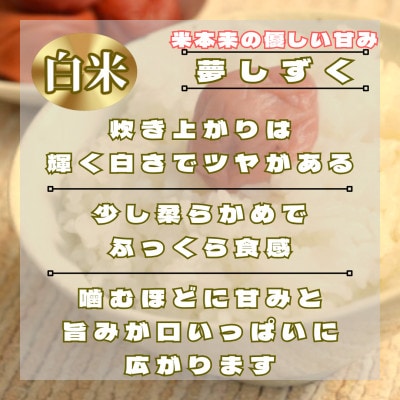 【毎月定期便】夢しずく白米3kg(鳥栖市)全6回