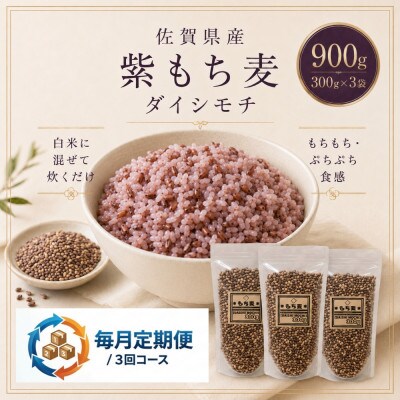 【毎月定期便】【もち麦】ダイシモチ300g×3袋(計900g)(鳥栖市)全3回