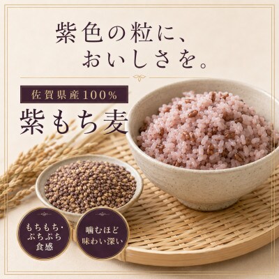 【毎月定期便】【もち麦】ダイシモチ300g×3袋(計900g)(鳥栖市)全3回