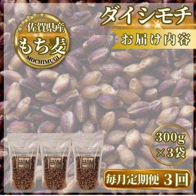 【毎月定期便】【もち麦】ダイシモチ300g×3袋(計900g)(鳥栖市)全3回