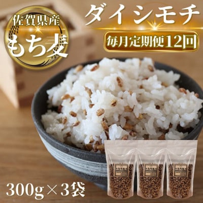 【毎月定期便】【もち麦】ダイシモチ300g×3袋(計900g)(鳥栖市)全12回