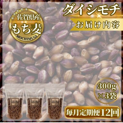 【毎月定期便】【もち麦】ダイシモチ300g×3袋(計900g)(鳥栖市)全12回