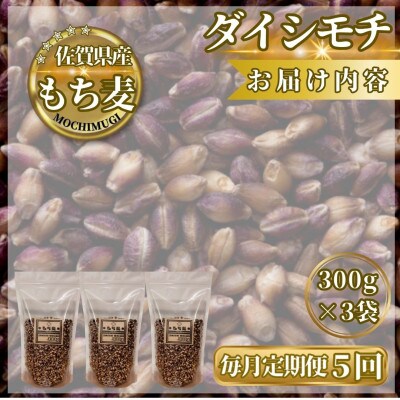 【毎月定期便】【もち麦】ダイシモチ300g×3袋(計900g)(鳥栖市)全5回