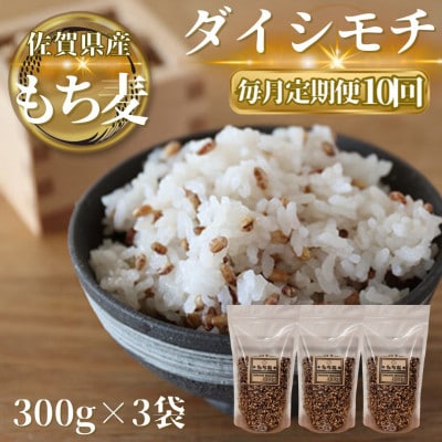 【毎月定期便】【もち麦】ダイシモチ300g×3袋(計900g)(鳥栖市)全10回