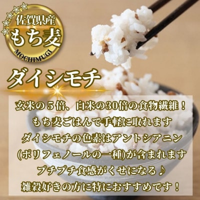 【毎月定期便】【もち麦】ダイシモチ300g×3袋(計900g)(鳥栖市)全10回