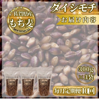 【毎月定期便】【もち麦】ダイシモチ300g×3袋(計900g)(鳥栖市)全10回