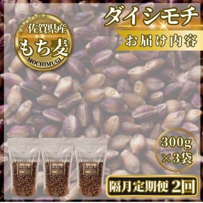 【2ヵ月毎定期便】【もち麦】ダイシモチ300g×3袋(計900g)(鳥栖市)全2回