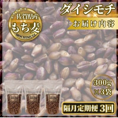 【2ヵ月毎定期便】【もち麦】ダイシモチ300g×3袋(計900g)(鳥栖市)全3回