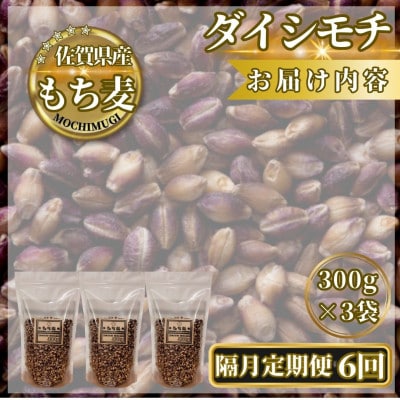 【2ヵ月毎定期便】【もち麦】ダイシモチ300g×3袋(計900g)(鳥栖市)全6回