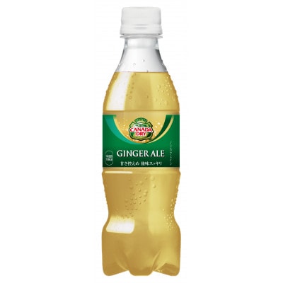 カナダドライ ジンジャーエール 350ml 1箱(24本)(鳥栖市)