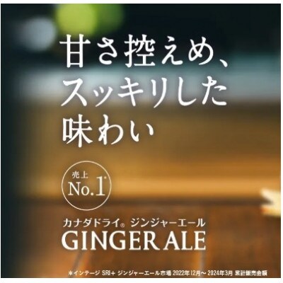 カナダドライ ジンジャーエール 350ml 2箱(48本)(鳥栖市)