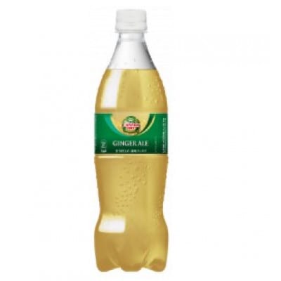 【毎月定期便】ジンジャーエール700ml1箱(鳥栖市)全3回