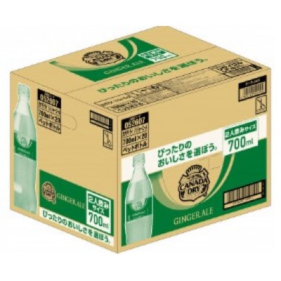 【毎月定期便】ジンジャーエール700ml2箱(鳥栖市)全3回