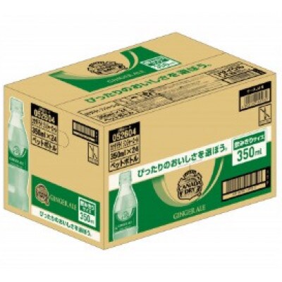 【毎月定期便】ジンジャーエール350ml1箱(鳥栖市)全3回