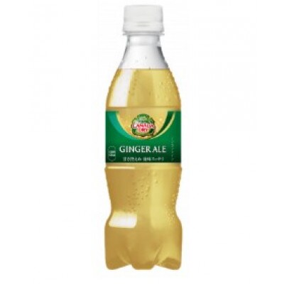 【毎月定期便】ジンジャーエール350ml2箱(鳥栖市)全3回