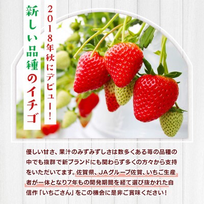 佐賀県産いちごさん　約1kg(鳥栖市)