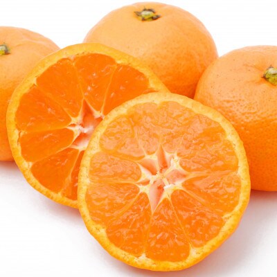 佐賀県産 あんみつ姫 約4kg(鳥栖市)