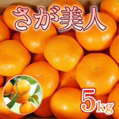 佐賀県産 さが美人5kg(鳥栖市)