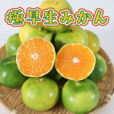 佐賀県産　極早生みかん7kg(鳥栖市)