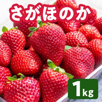 さがほのか約1kg(鳥栖市)