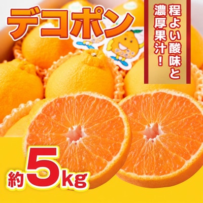 【2026年12月より順次発送】デコポン 約5kg (鳥栖市)