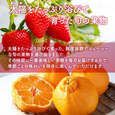 【発送月固定定期便】旬の果物　3か月定期便(鳥栖市)全3回