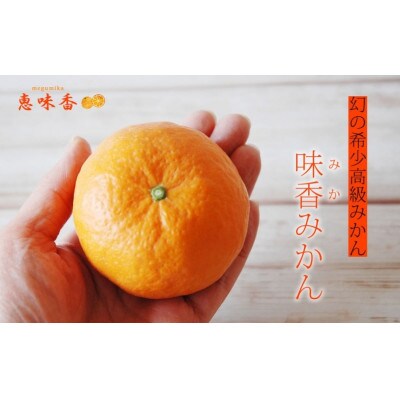 佐賀みかん ジャム 皮丸ごと マーマレード 270g 瓶 3個セット(鳥栖市)