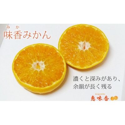 佐賀みかん ジャム 皮丸ごと マーマレード 270g 瓶 3個セット(鳥栖市)