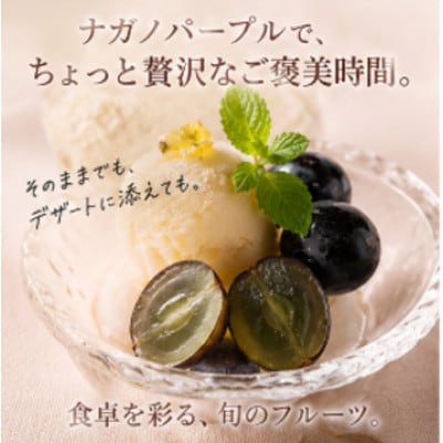 【急速冷凍】ナガノパープル 長野県産 ARTLOCK FRUITS　100g×2P(鳥栖市)
