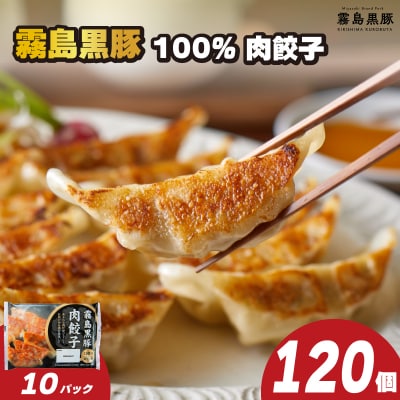 訳あり 霧島黒豚肉100%肉餃子 12粒×10パック(120粒) 冷凍 小分け 黒豚餃子 IR004