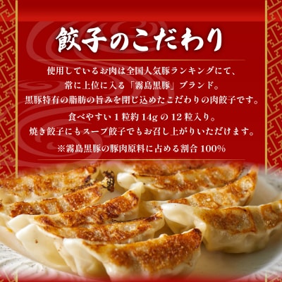 訳あり 霧島黒豚肉100%肉餃子 12粒×10パック(120粒) 冷凍 小分け 黒豚餃子 IR004