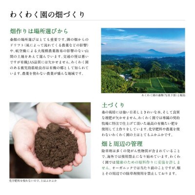 わくわく園のさつま桑青汁157本セット