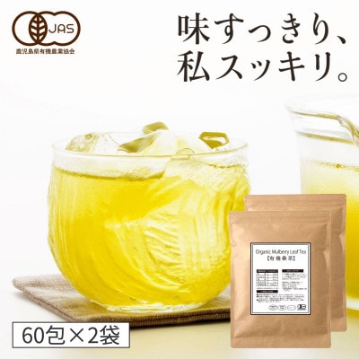 有機桑茶120包セット