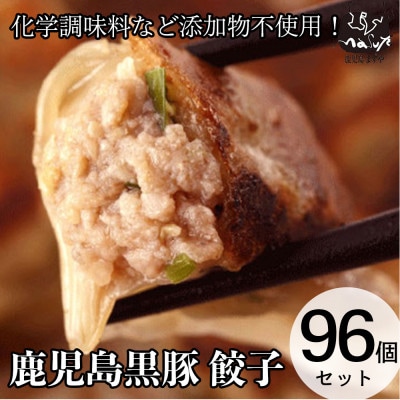 鹿児島黒豚「短鼻豚(たんびとん)」餃子8パックセット[a-442](姶良市)