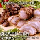 鹿児島黒豚「短鼻豚(たんびとん)」チャーシューと炭火焼豚詰合せ[a-008](姶良市)