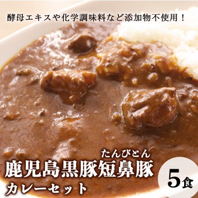 鹿児島黒豚「短鼻豚(たんびとん)」カレーセット[a-106](姶良市)