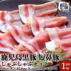 鹿児島黒豚「短鼻豚(たんびとん)」しゃぶしゃぶ 1kgセット[a-039](姶良市)