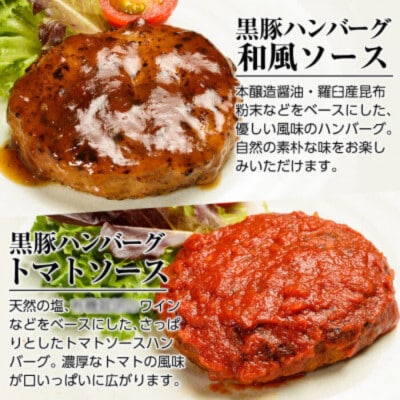 鹿児島黒豚「短鼻豚」無添加ハンバーグセット合計5個! 無添加ハンバーグ(姶良市) a007