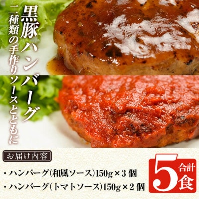 鹿児島黒豚「短鼻豚」無添加ハンバーグセット合計5個! 無添加ハンバーグ(姶良市) a007