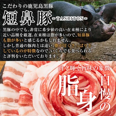 《訳あり》鹿児島黒豚「短鼻豚」ローススライス小分けセット約1kg(姶良市)