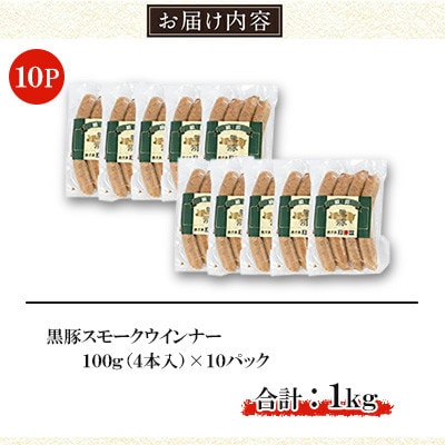 鹿児島黒豚「短鼻豚」無添加 スモークウィンナー1kg (100g×10P) a622-B(姶良市)