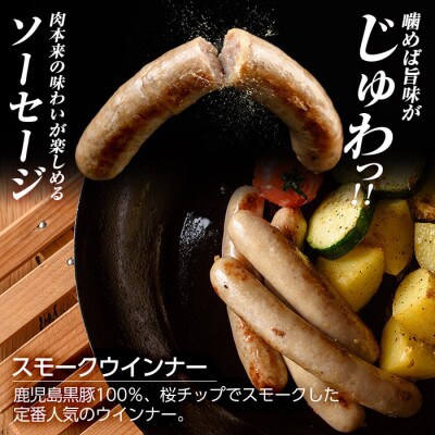 鹿児島黒豚「短鼻豚」無添加 スモークウィンナー 3kg (100g×30P) a622-C(姶良市)