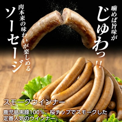 《訳アリ》 鹿児島黒豚「短鼻豚」 無添加 スモークウィンナー 500g×2P a965-B(姶良市)