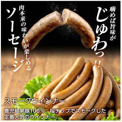 《訳アリ》 鹿児島黒豚「短鼻豚」 無添加 スモークウィンナー 500g×4P a965-D(姶良市)