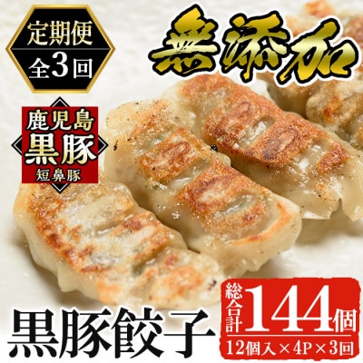 【毎月定期便】鹿児島黒豚「短鼻豚(たんびとん)」餃子4パックセット(姶良市)全3回