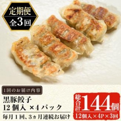 【毎月定期便】鹿児島黒豚「短鼻豚(たんびとん)」餃子4パックセット(姶良市)全3回
