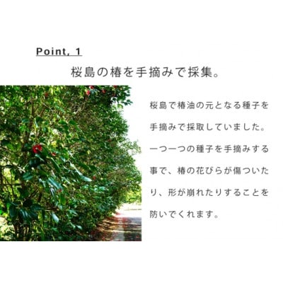 椿・生搾り(桜島椿油100%)×3個